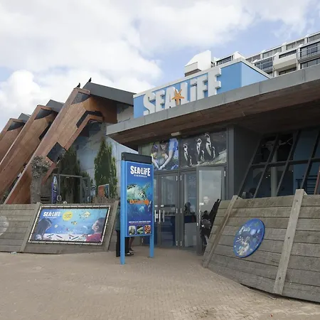 Easyhotel Scheveningen Hotel The Hague